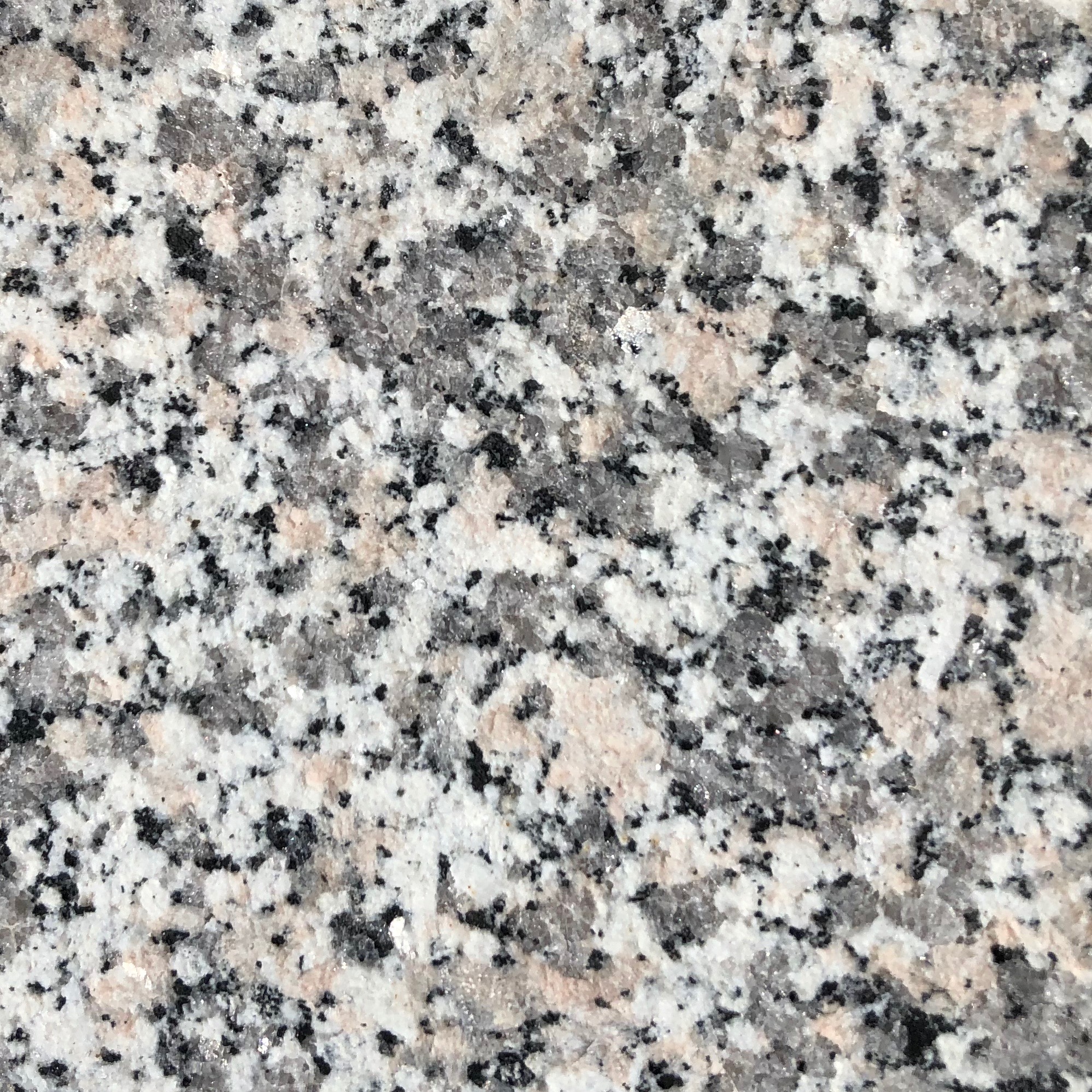 Bianco Sardo